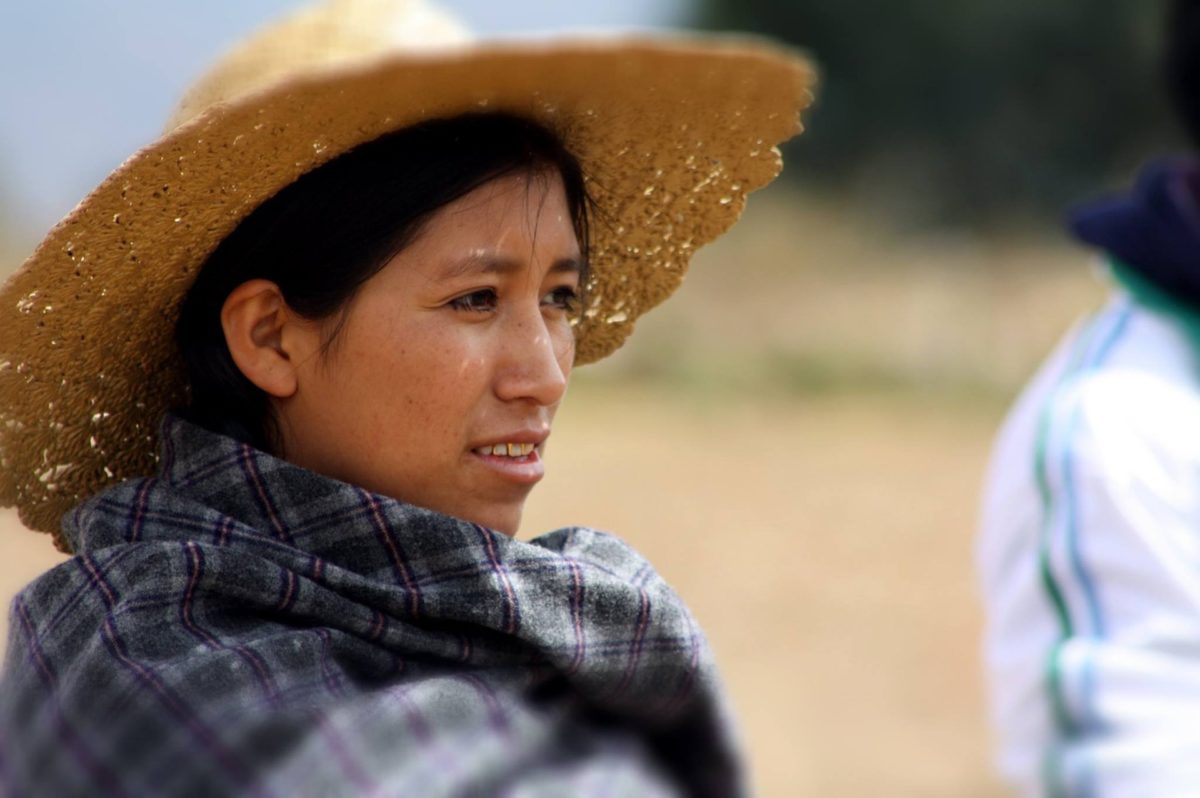 Regard sur un temps de confinement entre deux cultures.