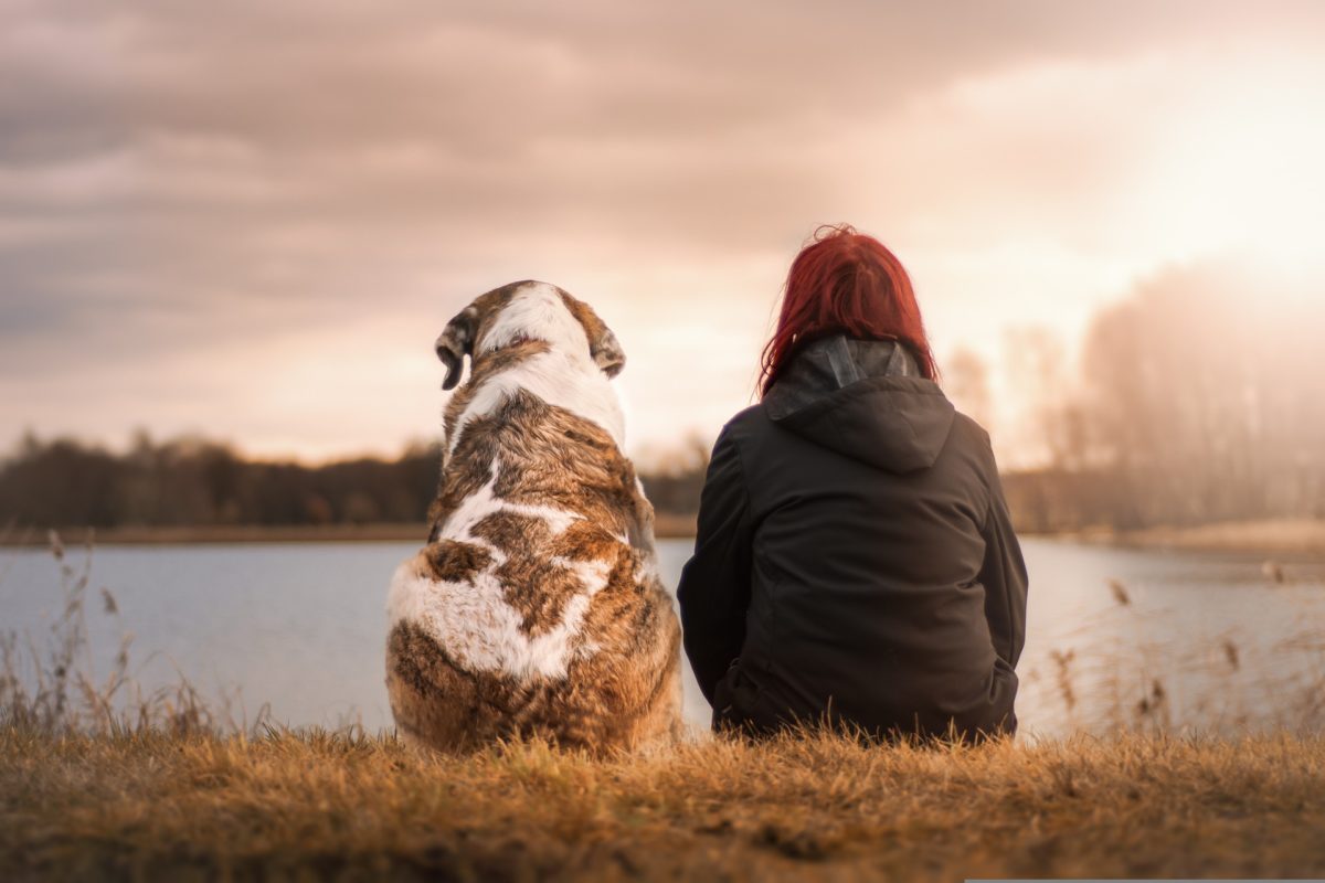 « Permacrise » et « confiance » sont-ils compatibles ?