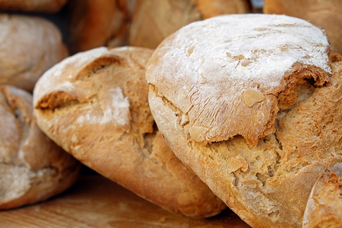 Donnez-leur vous-mêmes à manger!