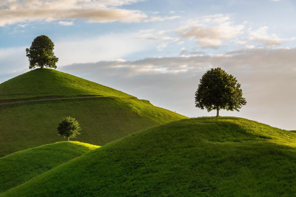 3 jolies collines d'un vert profond, avec chacune un arbre à leur sommet. est verdoyante, ciel bleu-gris.