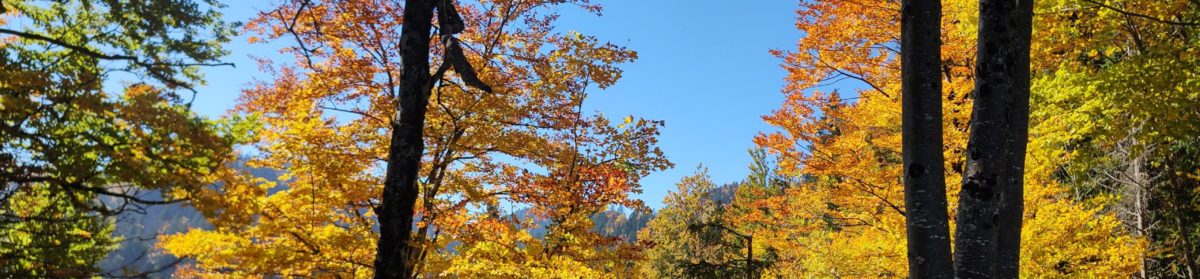 Paroisse du Val-de-Travers